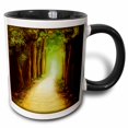 thumbnail image 1 of 3drose, Magic Dark Forest Road, 11oz Two-tone Black Mug, 1 of 6