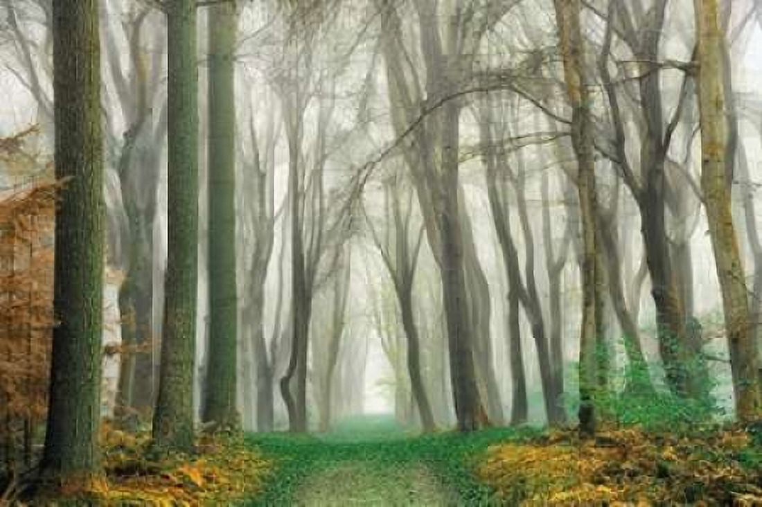 Magic Is Everywhere Canvas Art - Lars Van de Goor (24 x 36)