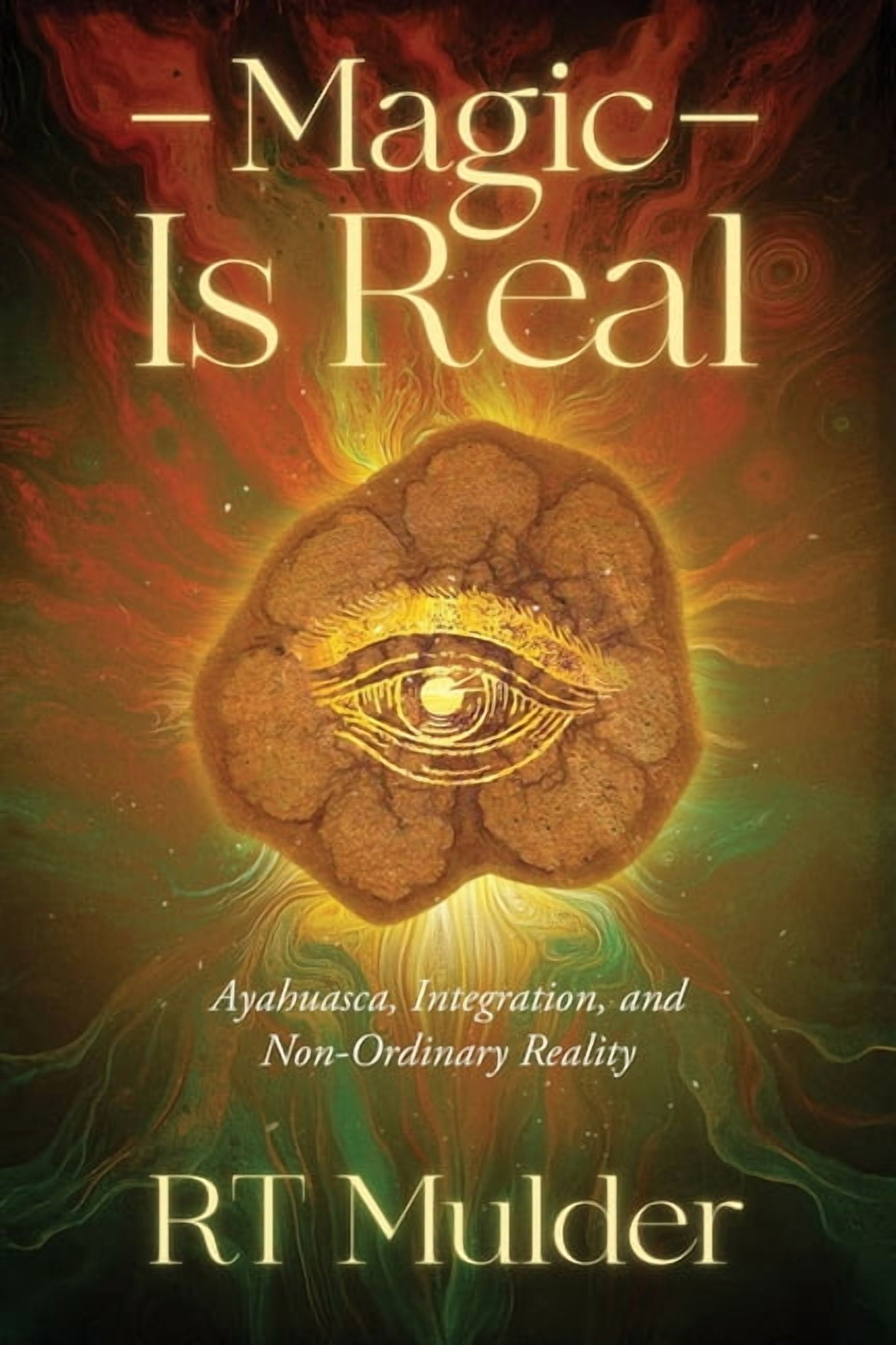 Magic Is Real: Ayahuasca, Integration, and Non-Ordinary Reality, (Paperback)