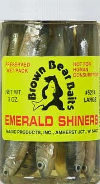 Magic Emerald Shiner Minnows Jar 