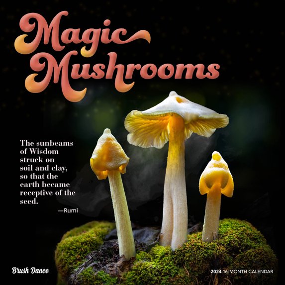 Magic Mushrooms 2024 Square Brush Dance (Calendar)