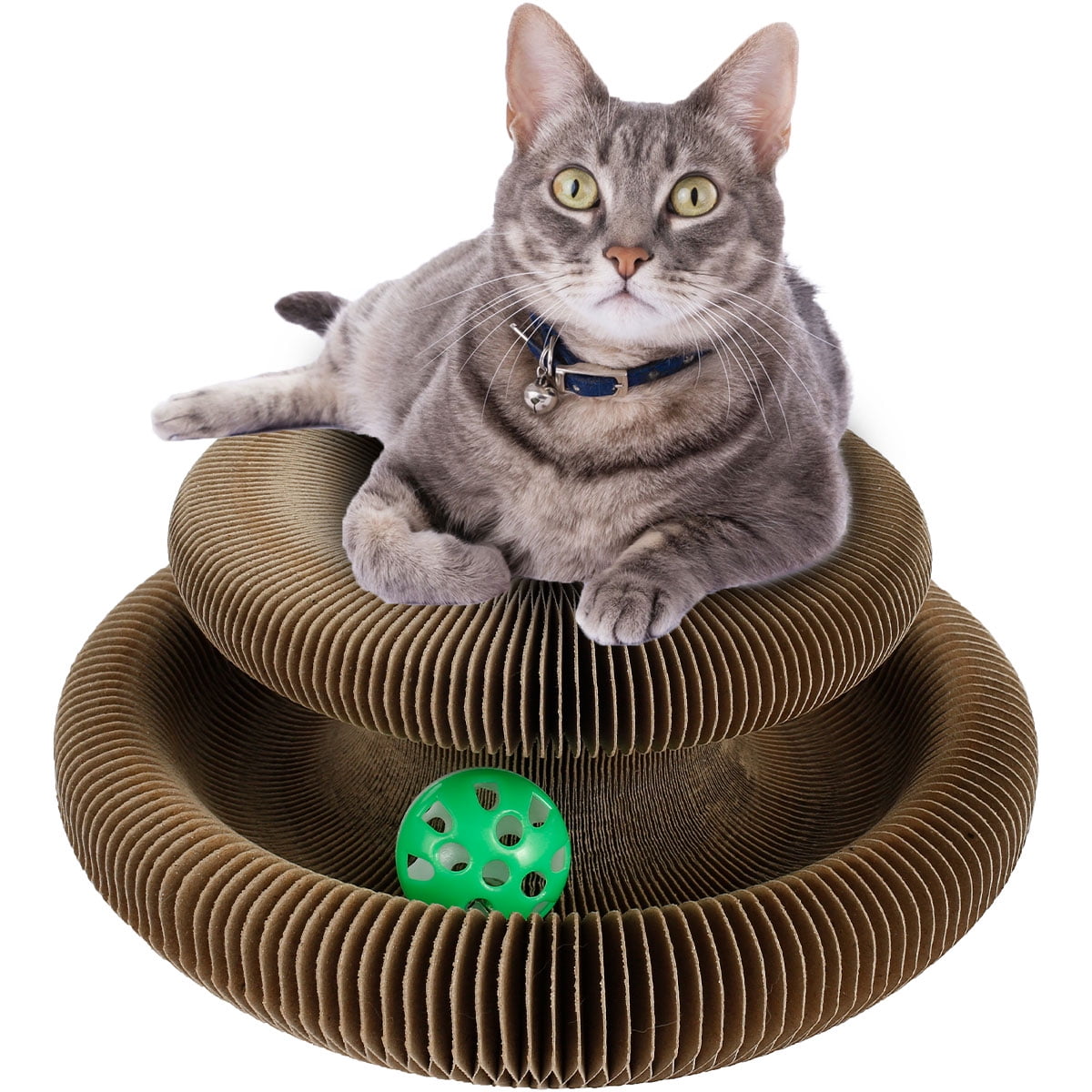 1pcs Cat Toy Whack-a-Mole Cat Scratching Board Toy Grinding Claw Rest Play  Funny Cat Interactive Multifunctional Cat Supplies - AliExpress
