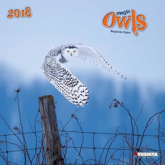 Magic Owls Wall Calendar, 2018 Birds by Image Connection