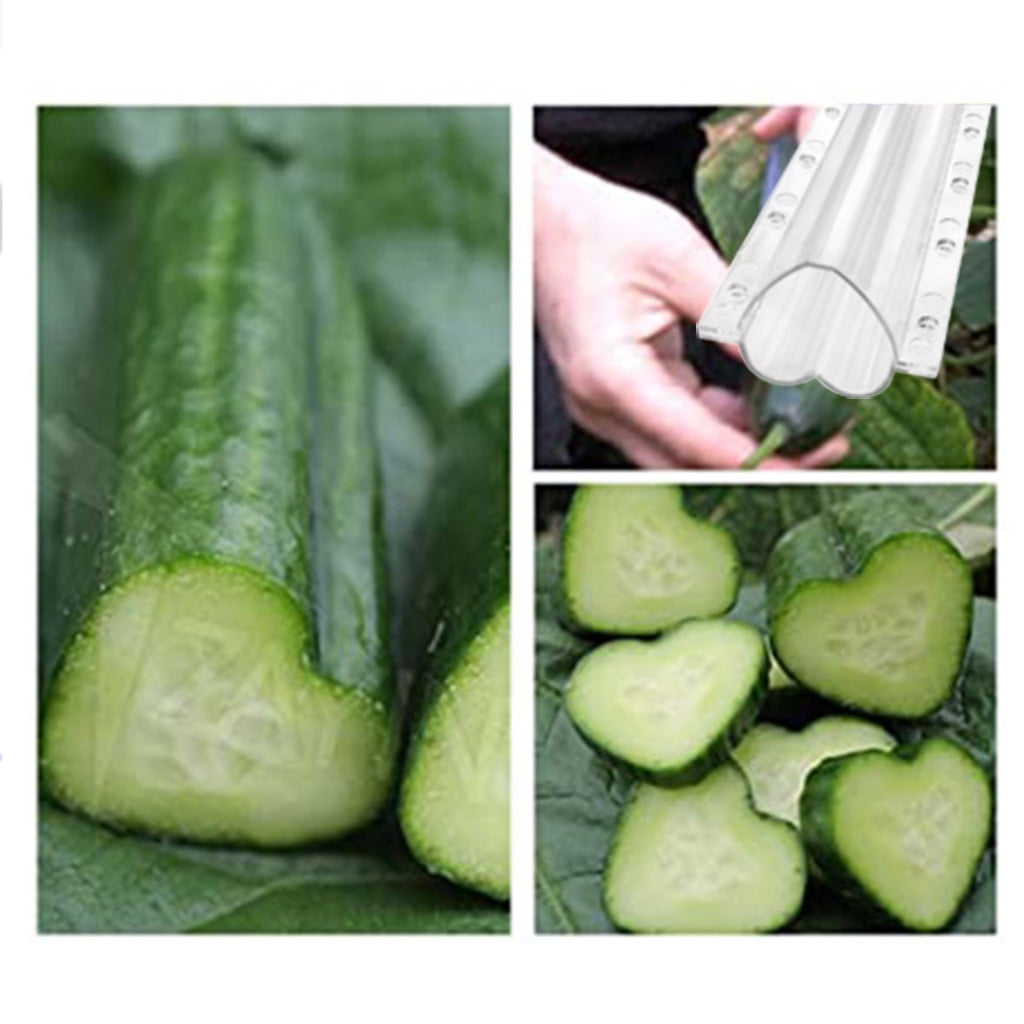 Magic Pentagram Heart-shaped Cucumber Fruit Shaping Growth Molds ...