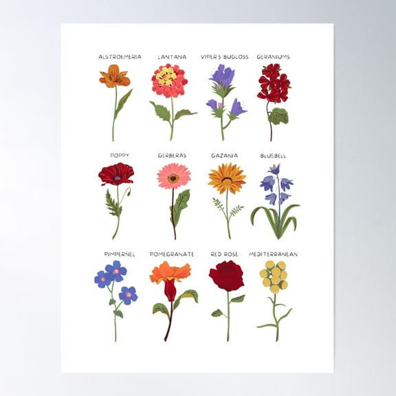 Magic Plants Poster Wall Art, Modern Wall Decor For Living Room Bedroom, 8x12 UNFRAMED