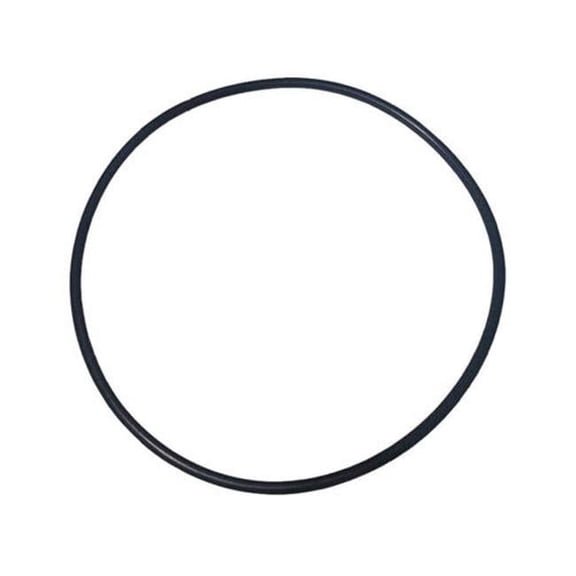 Magic Plastics 0301-154 2 in. O-Ring Magic Spring Check Valve