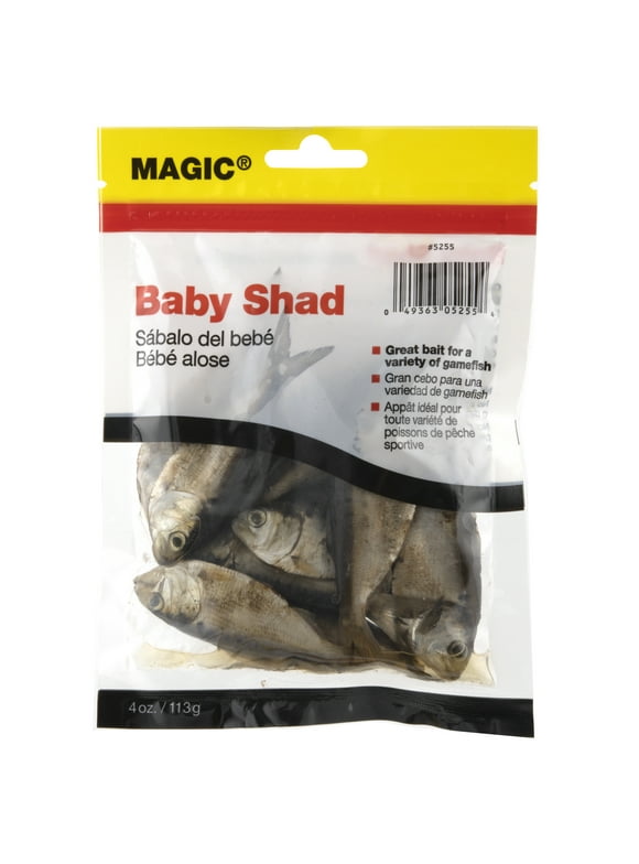 Live Bait in Fishing Baits