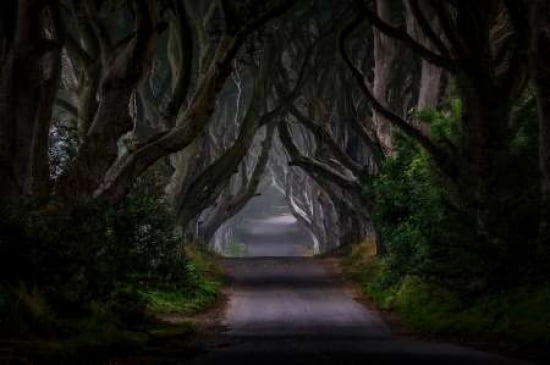 Magic Road Canvas Art - Piotr Galus (12 x 18)