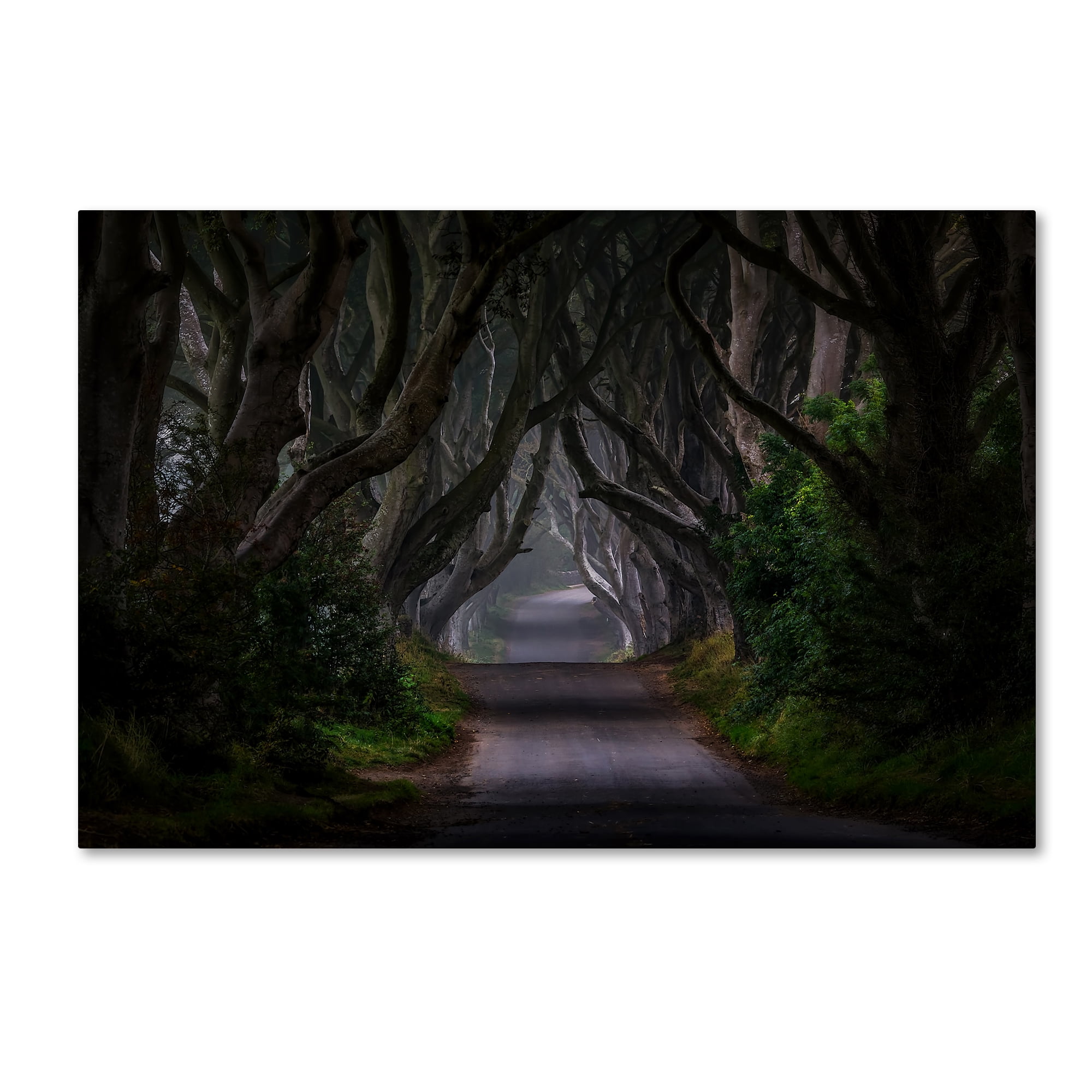 Magic Road' Canvas Art by Piotr Galus