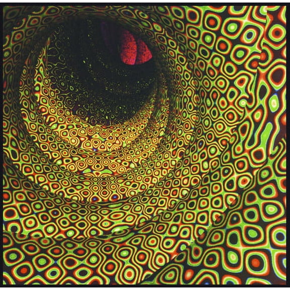 Easy - Magic Seed - Music & Performance - CD