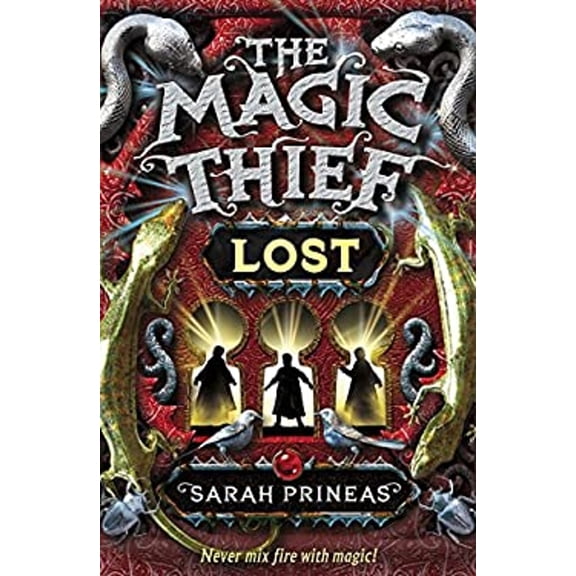 Pre-Owned Magic Thief The : Lost Magic Thief the: Lost (Paperback) 9781849161817