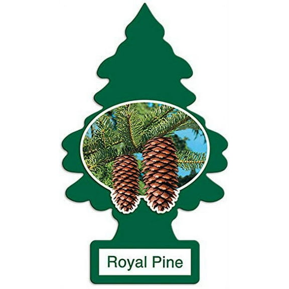 Magic Tree Little Trees Car Home Air Freshener Freshner Smell Fragrance Aroma Scent - ROYAL PINE (108 Pack)