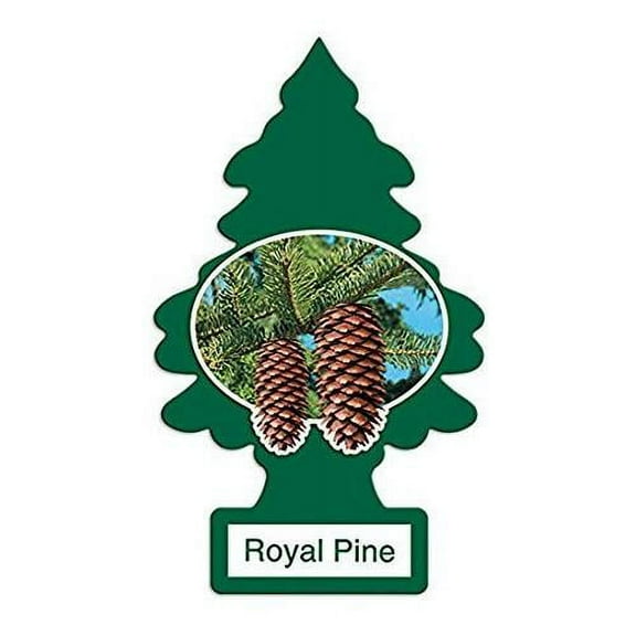 Magic Tree Little Trees Car Home Air Freshener Freshner Smell Fragrance Aroma Scent - ROYAL PINE (24 Pack)