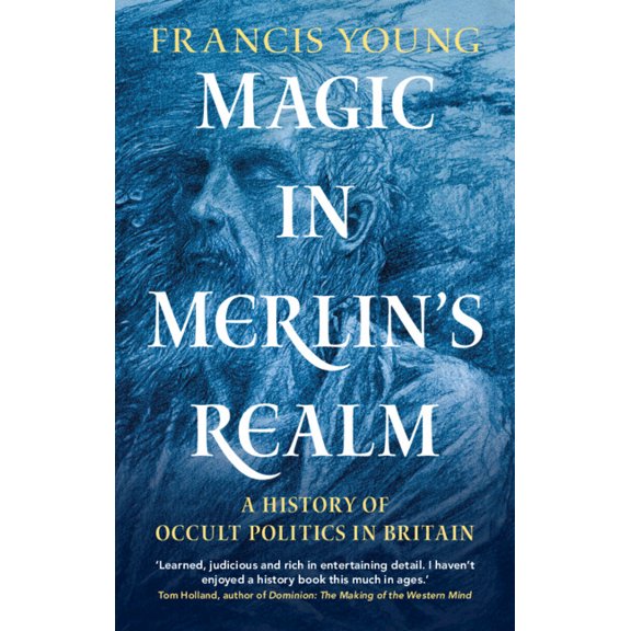 Magic in Merlin's Realm, (Hardcover)