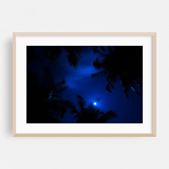 Magic of the Night Sky - Maldives Photography Night Sky Palm Tree Moon Tropical Stars Nature Scenic Oak Framed Wall Art Print 5 x 7 inches