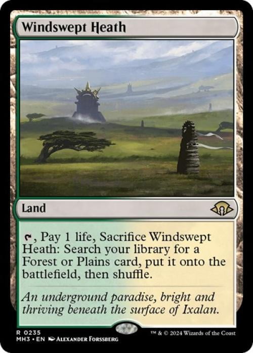 Magic the Gathering - Modern Horizons 3 - Windswept Heath Near Mint