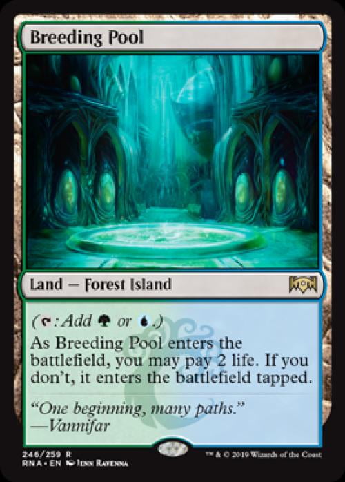Magic the Gathering - Ravnica Allegiance - Breeding Pool Near Mint