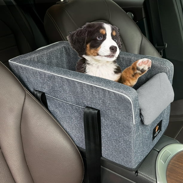 Bernese Mountain Dog Car Seat Covers (Set of 2) Bernese Mountain Dog Car Seat Covers (Set of 2)