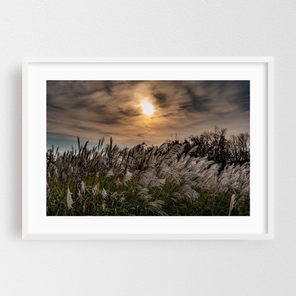 Magical Autumn Sunset in the Upland Meadow - Pennsylvania Photography Nature Landscape Sunset Autumn Scenic Wilderness Silhouette White Framed Wall Art Print 12 x 18 inches