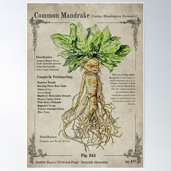 Magical Mandrake Herbology Poster Wall Art, Modern Wall Decor For Living Room Bedroom, 8x12 UNFRAMED