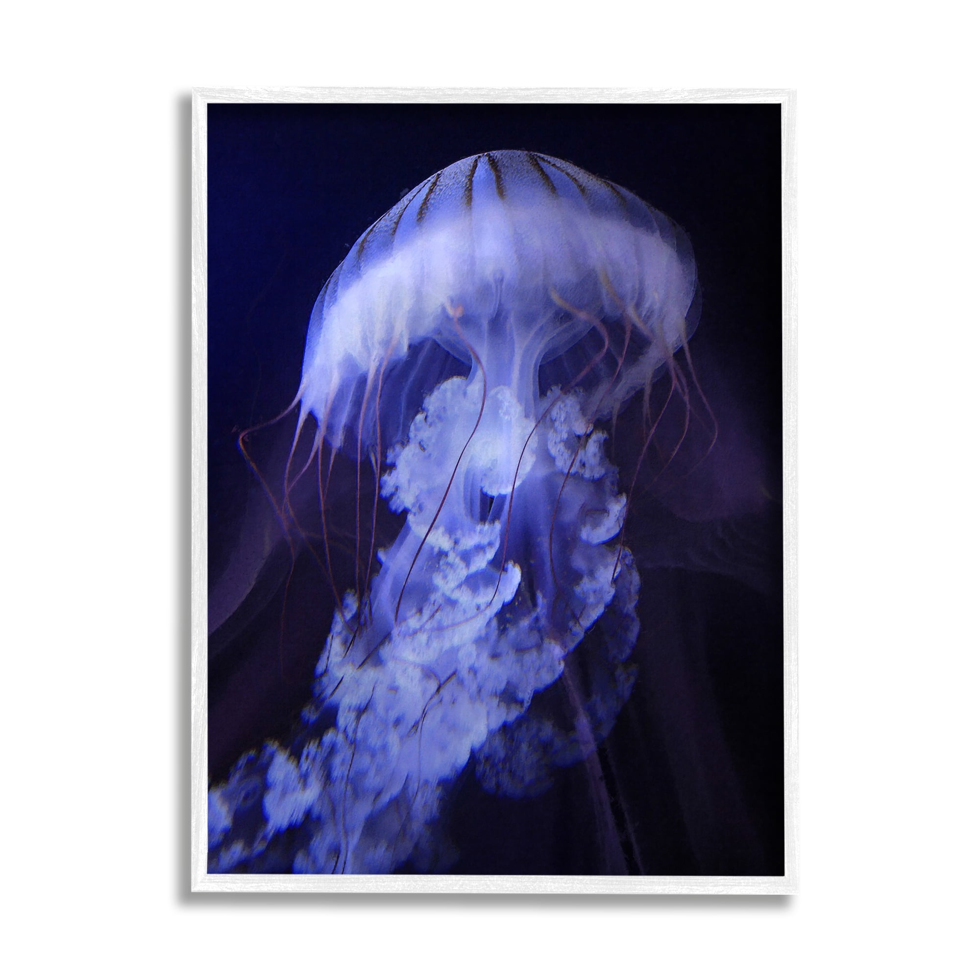 Magical Purple Detailed Jellyfish Ocean Sea Life Animals & Insects Photograph Framed Art Print Wall Art