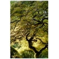 thumbnail image 1 of "Magical Tree" Painting Print on Canvas, 1 of 7