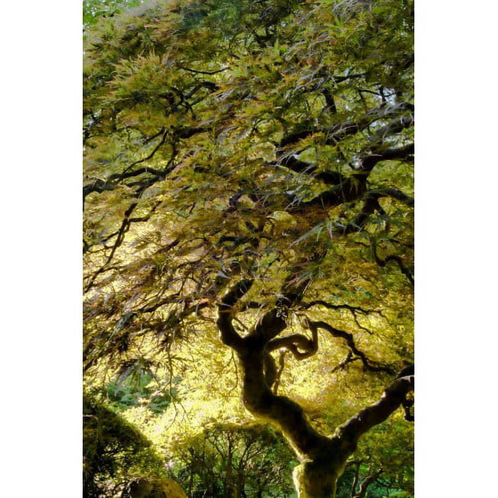 "Magical Tree" Painting Print on Canvas