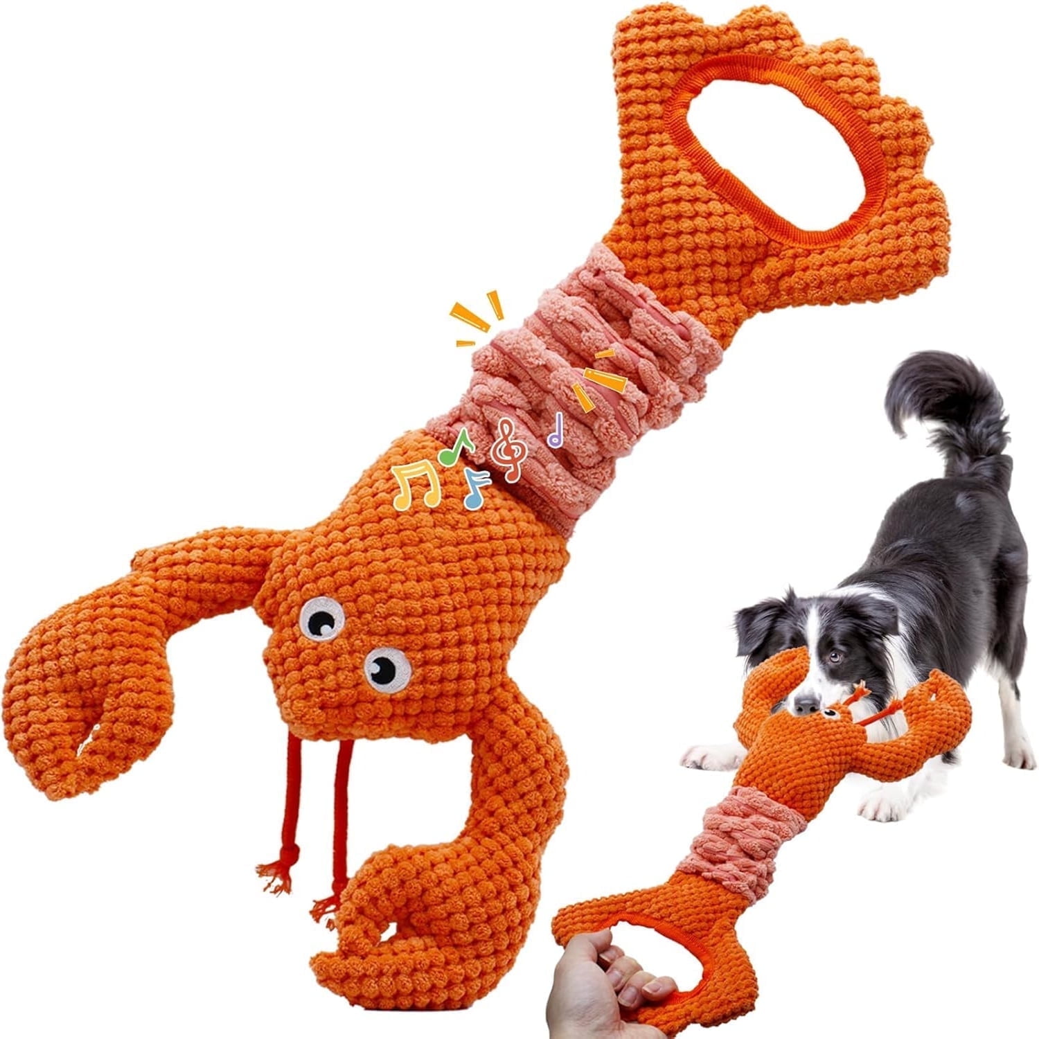 Lobster