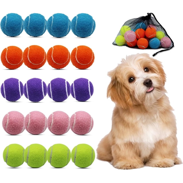 Magic Ball Sticker Magicorange Tennis Balls for Dogs with Mesh Bag for Gentle Chewers, 2 ...