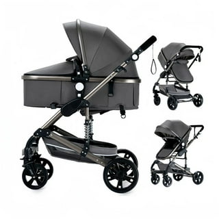 Stroller With Standing Platform