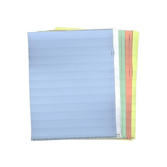 Magna Visual Data Cards,Full Sheet,Mixed,PK10 DC-20M