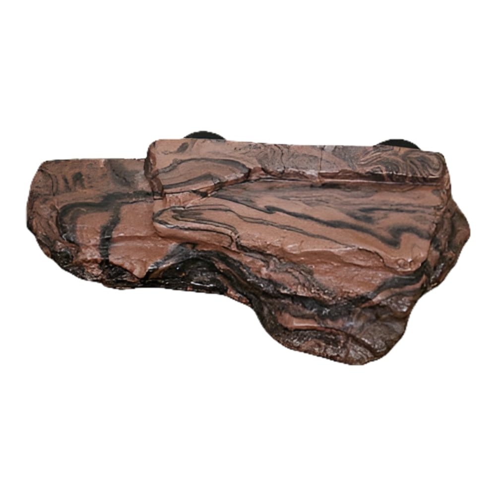 Pangea Reptile Magnetic Ledge Background