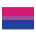 thumbnail image 1 of Magnet Me Up Bisexual Pride Flag Car Magnetic Vinyl Decal, 4x6 Inches, Pink Blue and Purple, Heavy Duty Automotive Magnet for Car Truck SUV, in Support of LGBTQ, Fade Resistant, 1 of 7