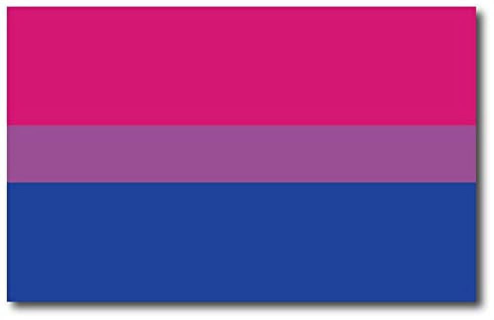 Magnet Me Up Bisexual Pride Flag Car Magnetic Vinyl Decal, 5X8 Inches ...