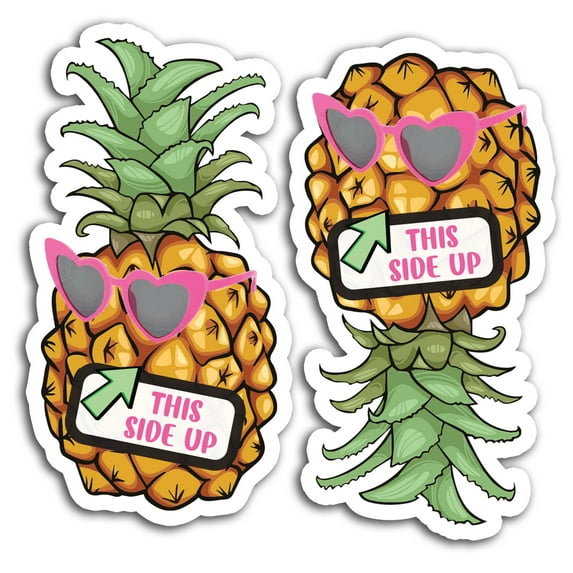 Combo 2 Pk This Side Up Right Side Up and Upside Down Pineapple Magnet