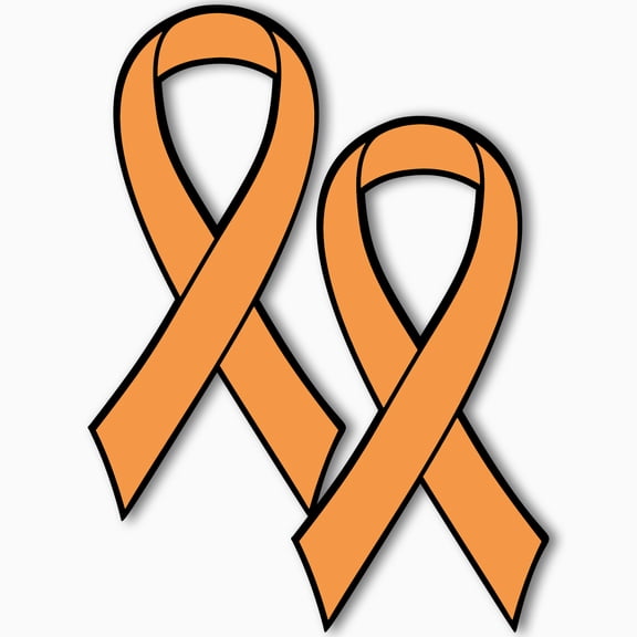 Magnet Me Up Leukemia and Kidney Cancer 2 Pack 3.5"x7" Orange Ribbon Made in USA