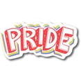 thumbnail image 1 of Magnet Me Up Pride LGBTQ Magnet Decal, 6x4 Inch, Rainbow Support Gay Pride, 1 of 7