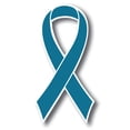 thumbnail image 1 of Magnet Me Up Support Cervical and Ovarian Cancer Awareness Teal Ribbon Magnet Decal, 3.5x7 In, Vinyl Automotive Magnet, 1 of 7