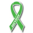 thumbnail image 1 of Magnet Me Up Support Gallbladder Cancer Survivor Kelly Green Ribbon Magnet Decal, 3.5x7 In, Vinyl Automotive Magnet, 1 of 7