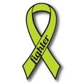 thumbnail image 1 of Magnet Me Up Support Non Hodgkins Lymphoma Cancer Fighter Lime Ribbon Magnet Decal, 3.5 x7 In, Vinyl Automotive Magnet, 1 of 7