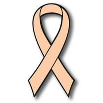 Magnet Me Up Support Uterine Cancer Awareness Peach Ribbon Magnet Decal, 3.5x7 In, Vinyl Automotive Magnet