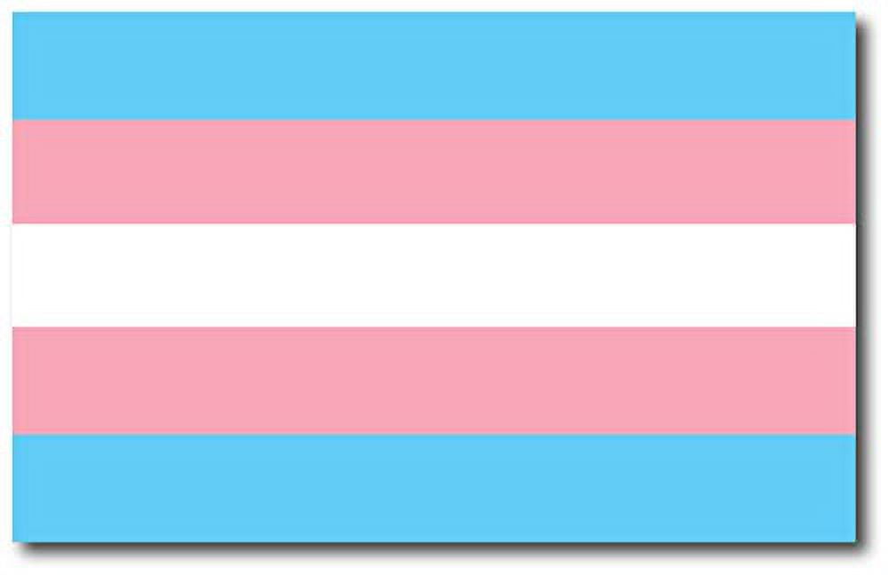 Magnet Me Up Pride LGBTQ Car Magnet - 6x4 Inch Rainbow Equality Decal, Made In USA - View #5