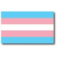 thumbnail image 1 of Magnet Me Up Transgender Pride Flag Magnet Decal, 3x5 inch, Automotive Magnet, 1 of 7