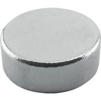THE MAGNET SOURCE Magnet Source Super Neodymium Disc Magnets, .315" x .118", 10/Pkg.