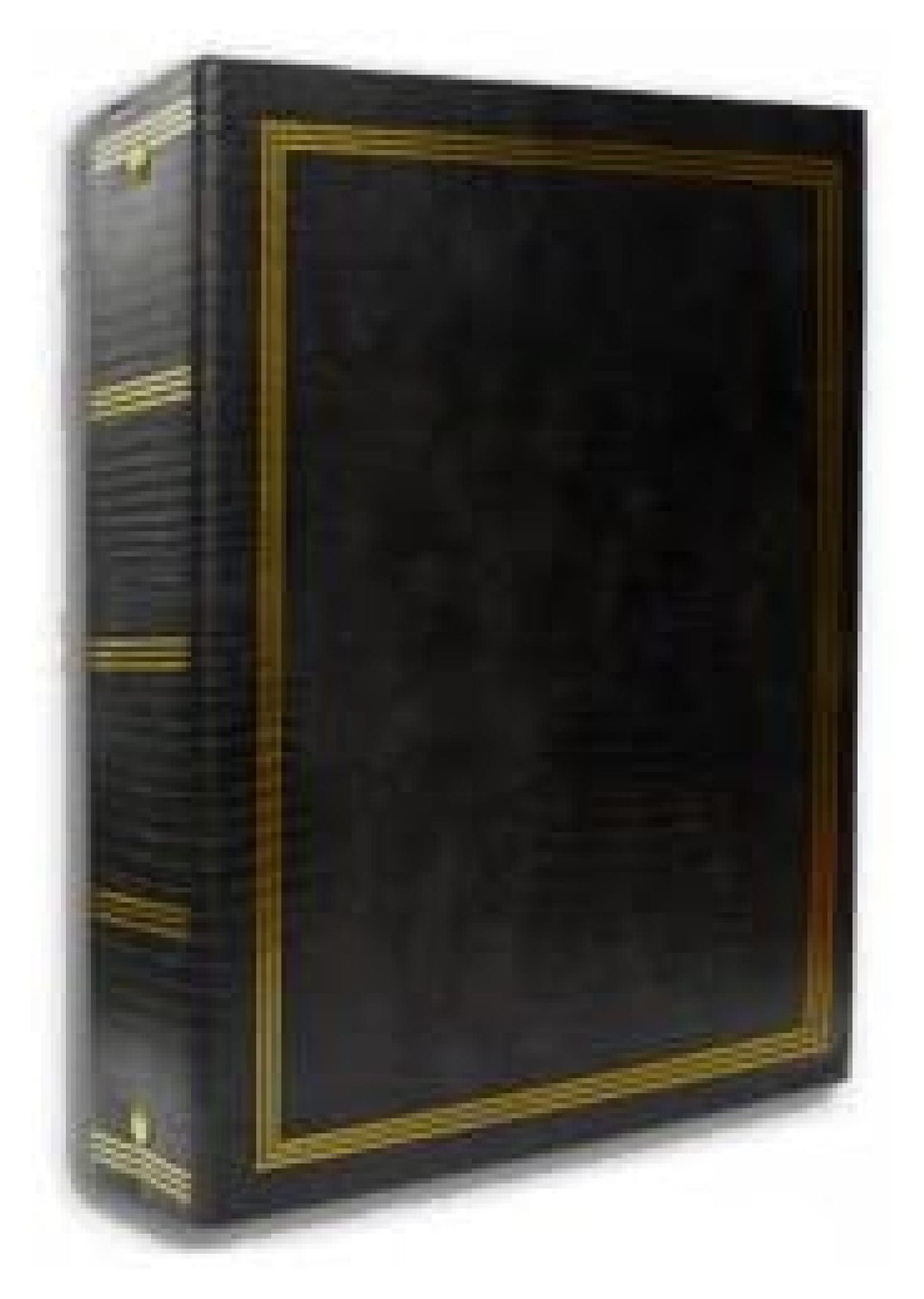 Magnetic 3-Ring Photo Album with 100 Pages, Holds 5