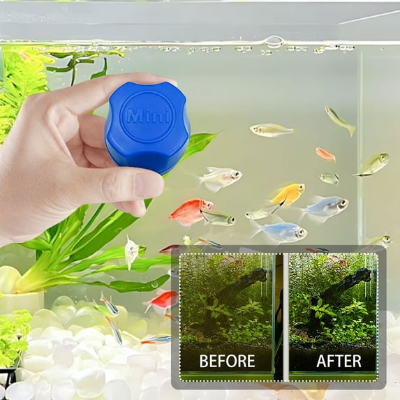 Magnetic Aquarium Cleaner under $5! kkbbma Mini Magnetic Aquarium Brush, Fish Tank Glass Cleaner, Underwater Algae Scraper, Aquarium Cleaning Tool, Magnetic Glass Scrubber
