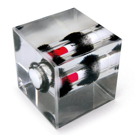 Magnetic Field Cube, Hollow Center With Removable Magnets