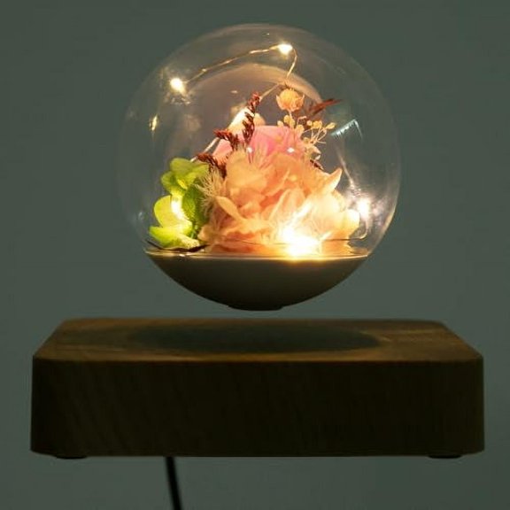Magnetic Levitating Floating Flowers LED Light, Levitate & Rotate in Air, Night Light Levitating Desk Decor Lamp for Unique Gifts, Room Decor, Home Office Decor Desk Tech Toys (US Stock)