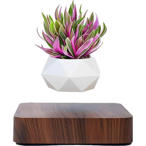 Magnetic Levitating Planter with Wooden Base, Floating Geometric Pot for Home Office Decor, Air Bonsai Plant Holder