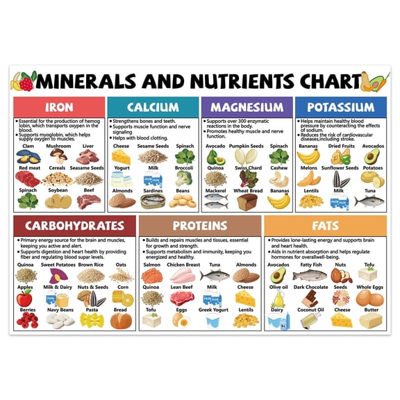 Magnetic Minerals and Nutrients Food Chart Refrigerator Magnets